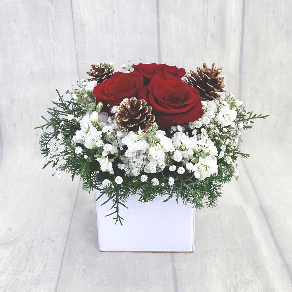 スノーロマンス