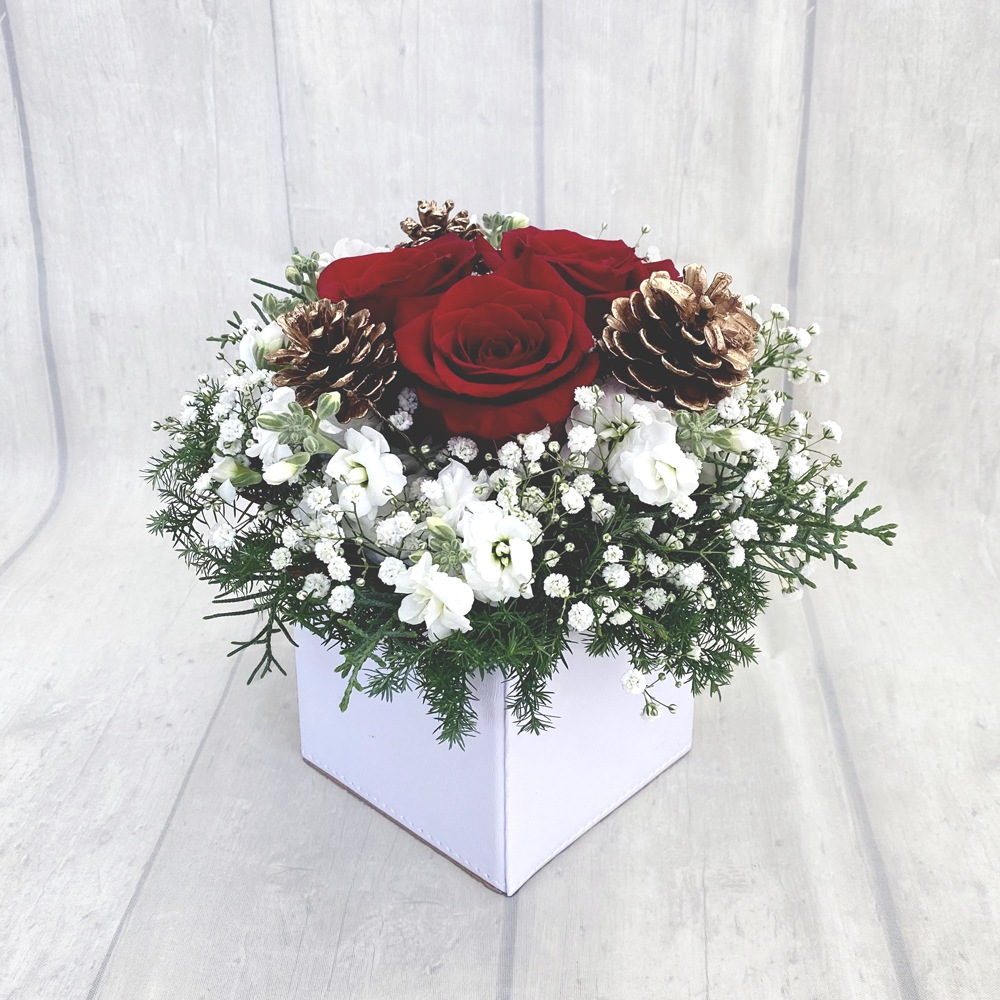 スノーロマンス