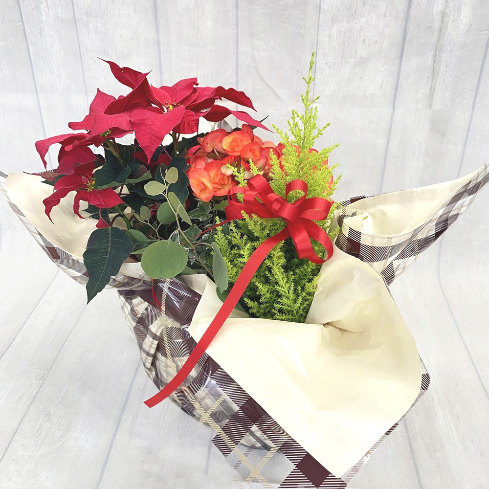 ホリデーガーデン／IV