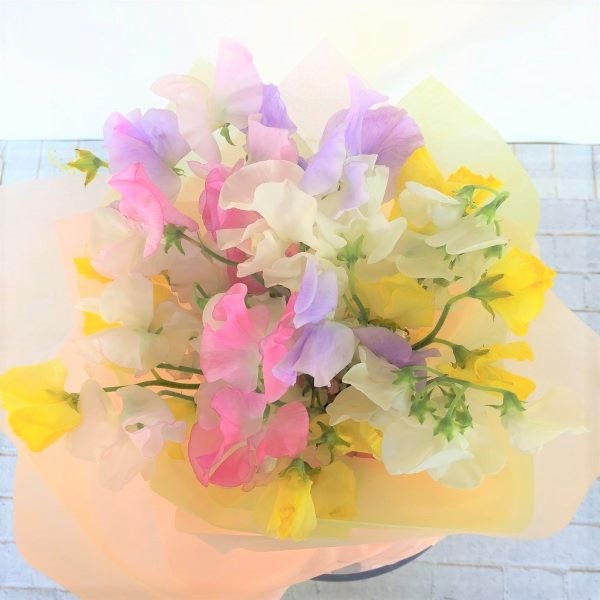 スプリングブーケ　スイートピー