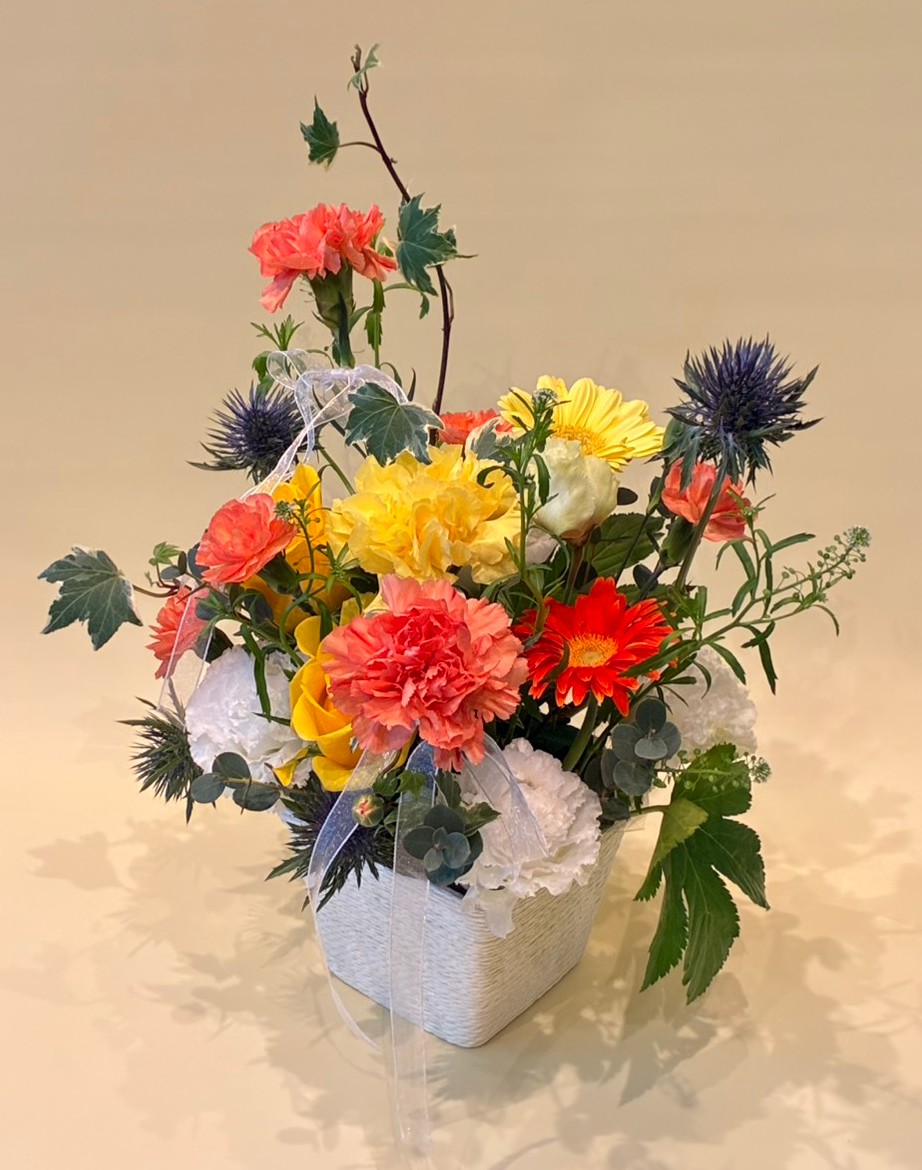 【母の日限定】リボン・カーネーション(ビタミン)