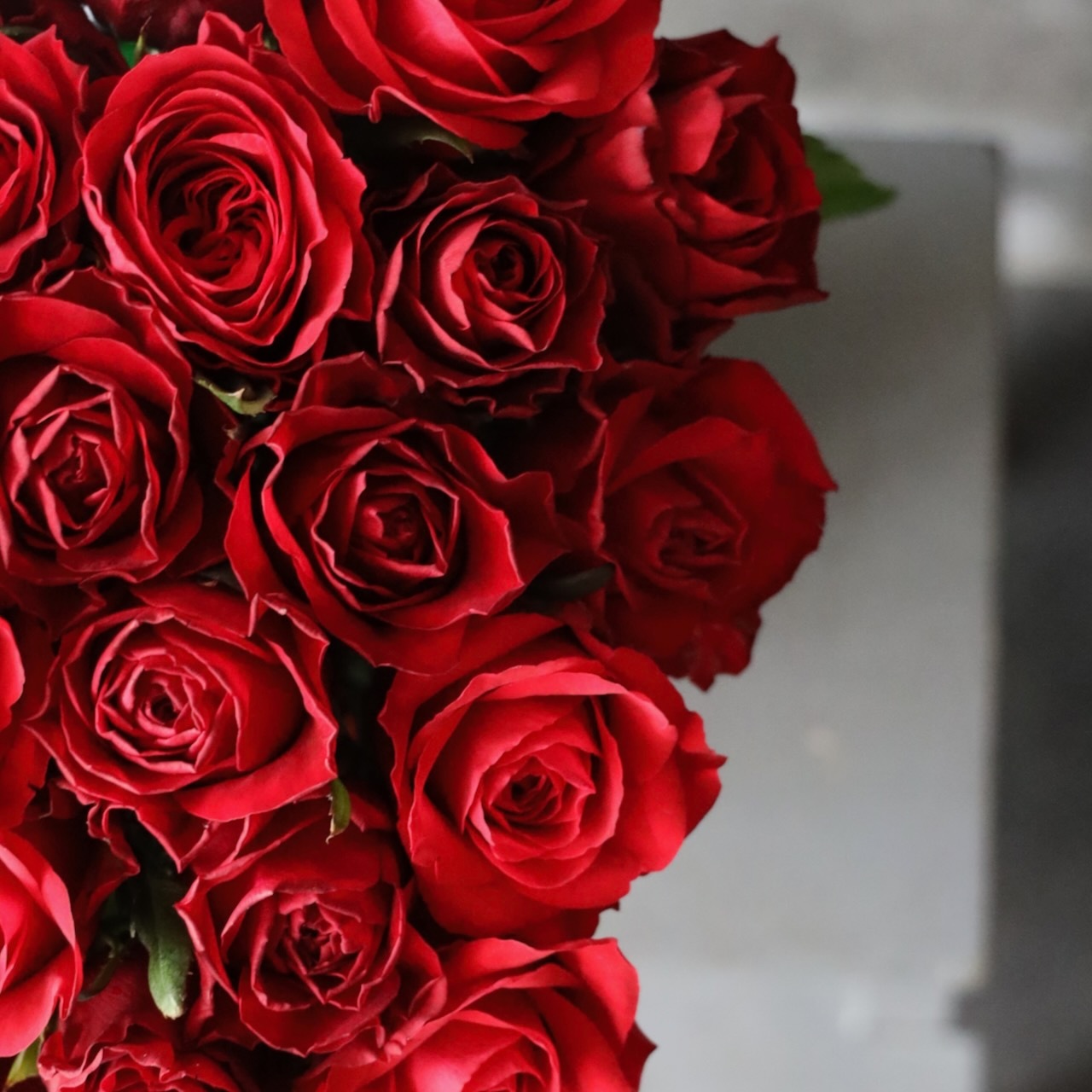 特選花束special「朱玉 shugyoku」レッドグラデーションのローズブーケ