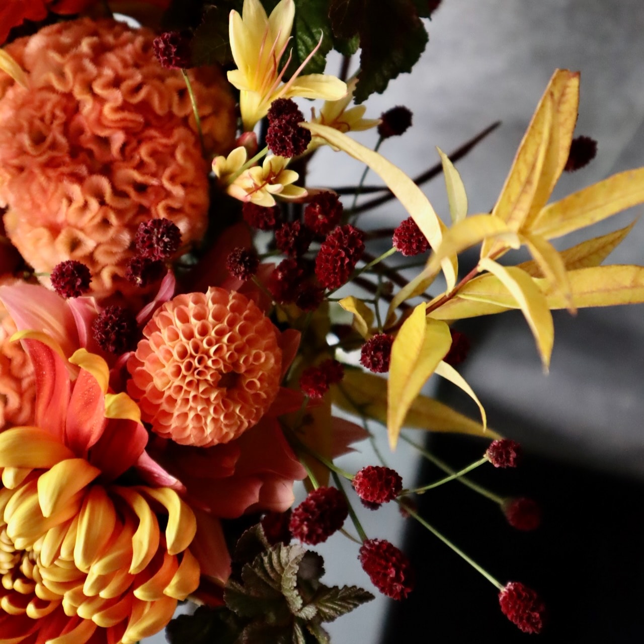 季節限定】10/5～11/15 特選花束M「黄金蜜 koganemitsu」こっくり黄金