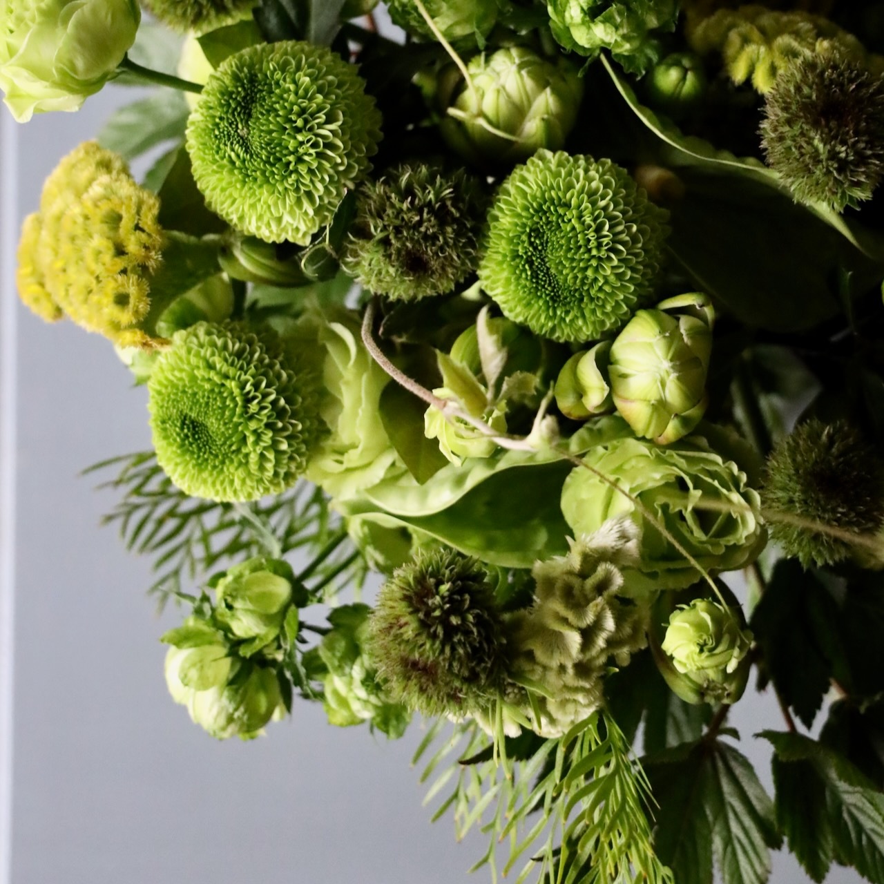 特選花束ML「萌葱色 moegiiro」 穏やかなグリーンの花のブーケ