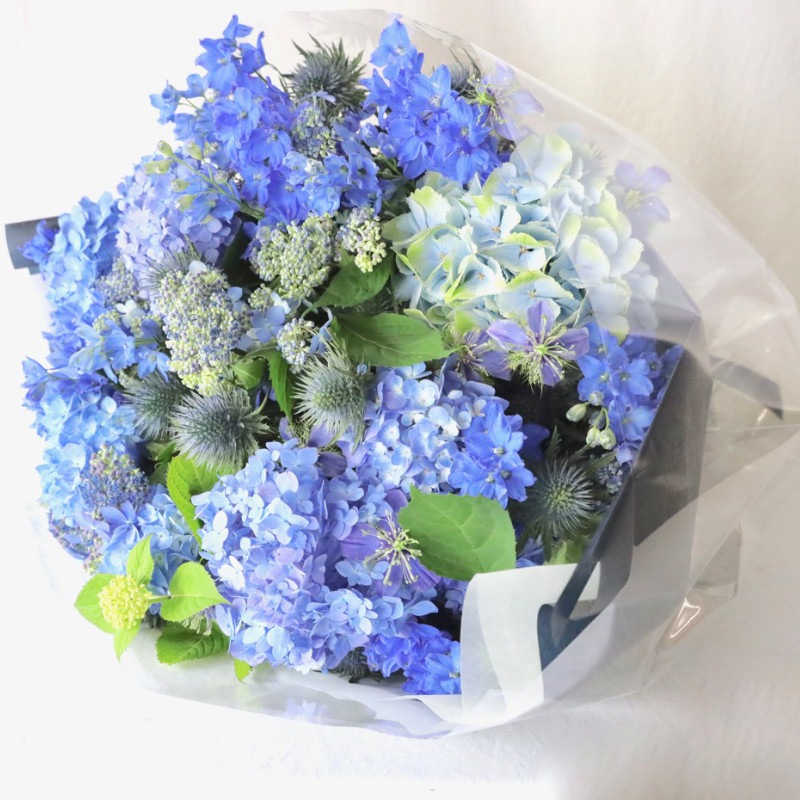 都心エリア限定配送 特選花束 2l 青 Ao 6月の花 アジサイとデルフィニュウムに旬の小花を添えて 水や空を感じさせる潤いカラーを季節限定でお包みします 季節限定 5 25 7 都心エリア限定配送 大型商品を含む 花束 ライフデコ南青山のフラワーギフトを
