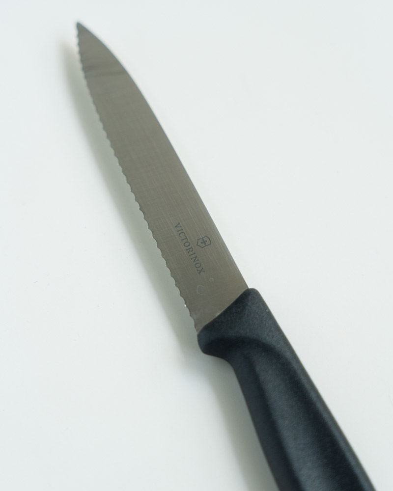 �ӥ��ȥ�Υå��������������饷�å��ե롼�ĥ��꡼�����ڥƥ����ʥ����ȿ� 10cm