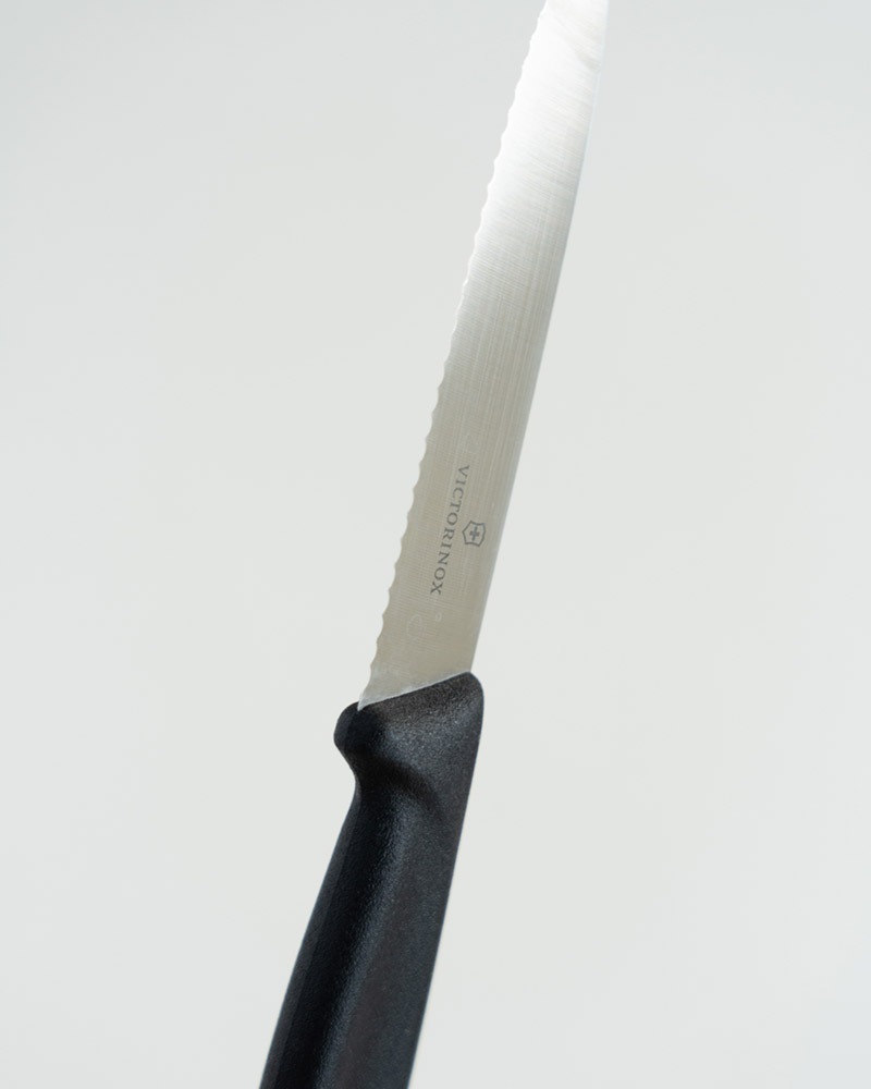 �ӥ��ȥ�Υå��������������饷�å��ե롼�ĥ��꡼�����ڥƥ����ʥ����ȿ� 10cm