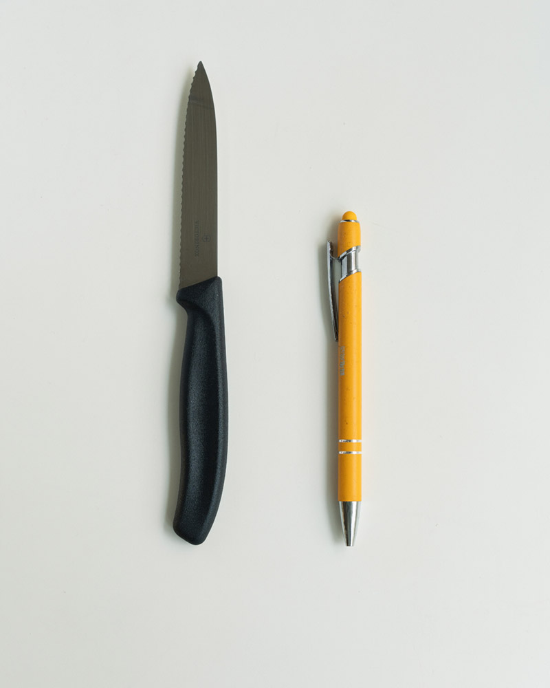 �ӥ��ȥ�Υå��������������饷�å��ե롼�ĥ��꡼�����ڥƥ����ʥ����ȿ� 10cm