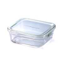 iwaki�ʥ��省�� �ѥå�����󥸡ʥ��꡼��˳ѡ�����3247N-G