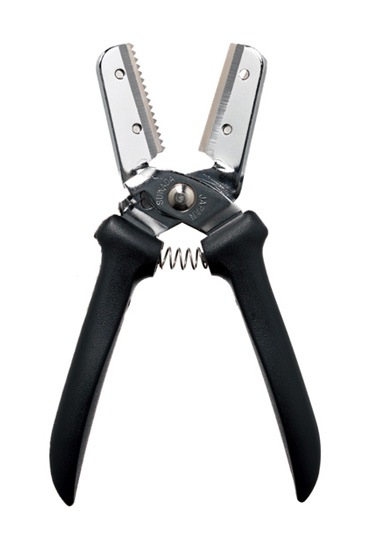 ����������˷��ڥݥ����10�ܡ�