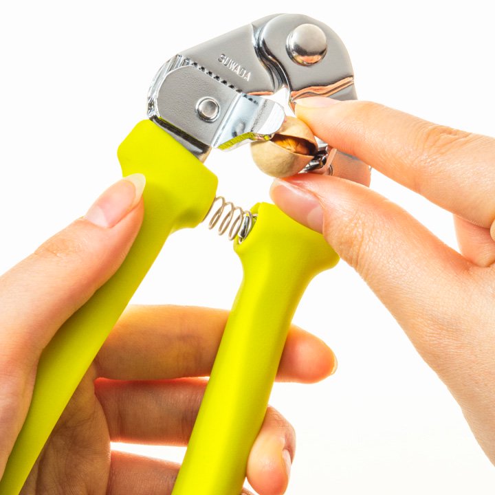 ��ɳ䡡���˷��ڥݥ����10�ܡ�