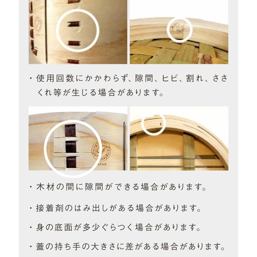 ե饤󥰥ꥸʥڤ 24cm  ̾勵