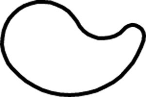 ��ȴ���˾����ޤ�����