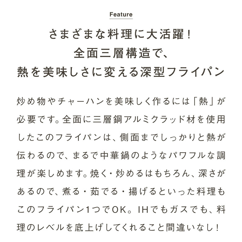 ե饤󥰥 ե饤ѥSH 20cm   IH Ŭ  ƥʥ֥եǼ齤̵ۡۡڥӥ塼Ƥǥѥץ쥼ȡ