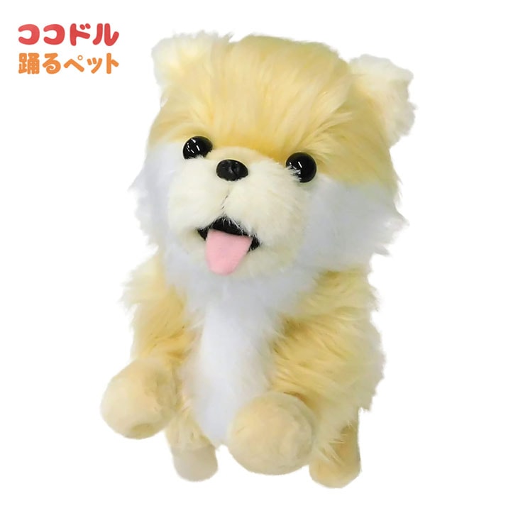 ココドル踊るペット犬 踊るペット犬 ココドル 歌って踊れるポメラニアン|ファミリー