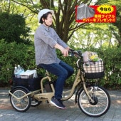 アシらくプティット ロータイプ電動アシスト三輪自転車 送料無料 電動 三輪車 自転車 アシらく プティット petit ロー