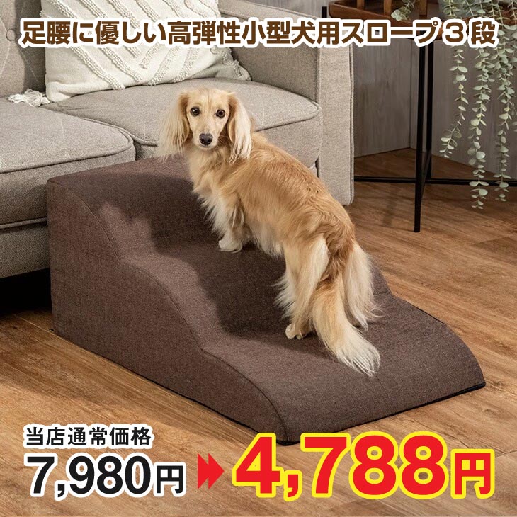 足腰に優しい高弾性小型犬用スロープ3段｜ファミリー・ライフ公式通販