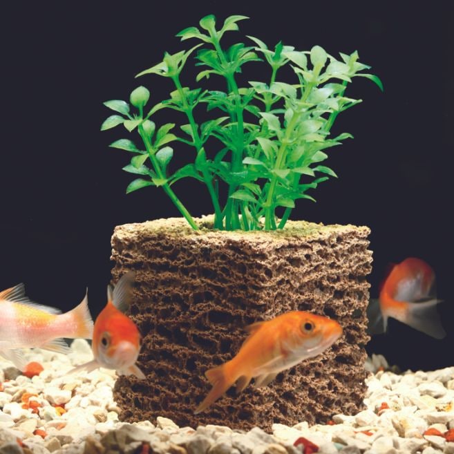 お魚天国バイオキューブ 4個組