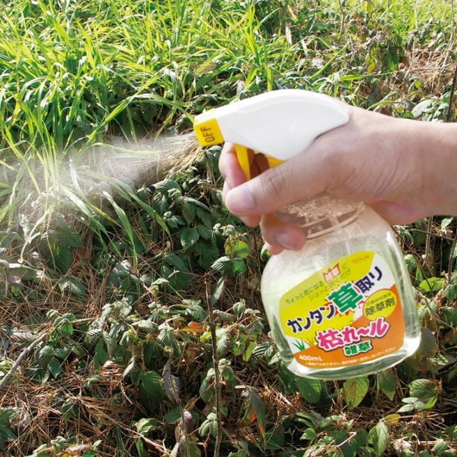 枯れ～ル雑草6本組