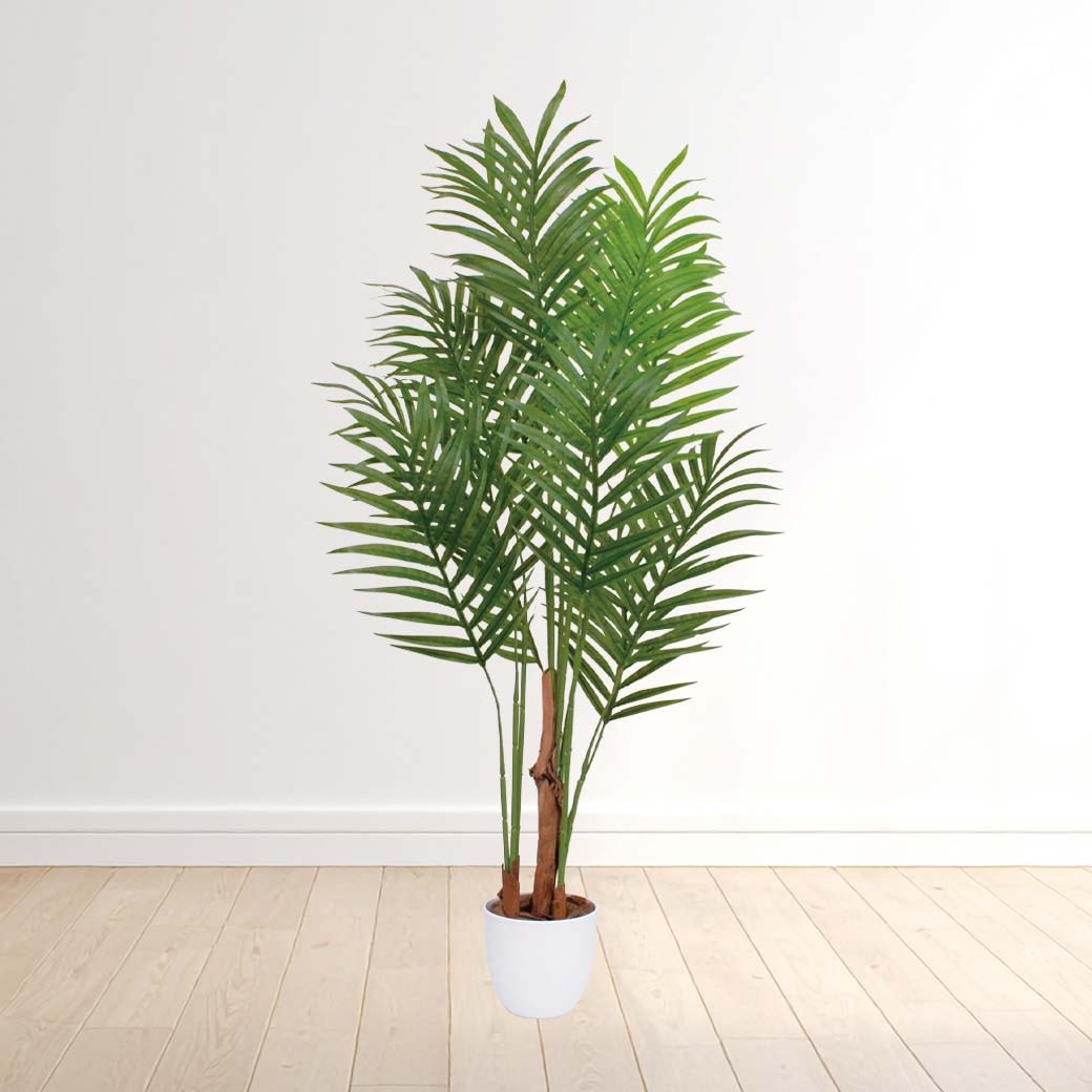 光触媒 風水インテリアグリーン アレカヤシ