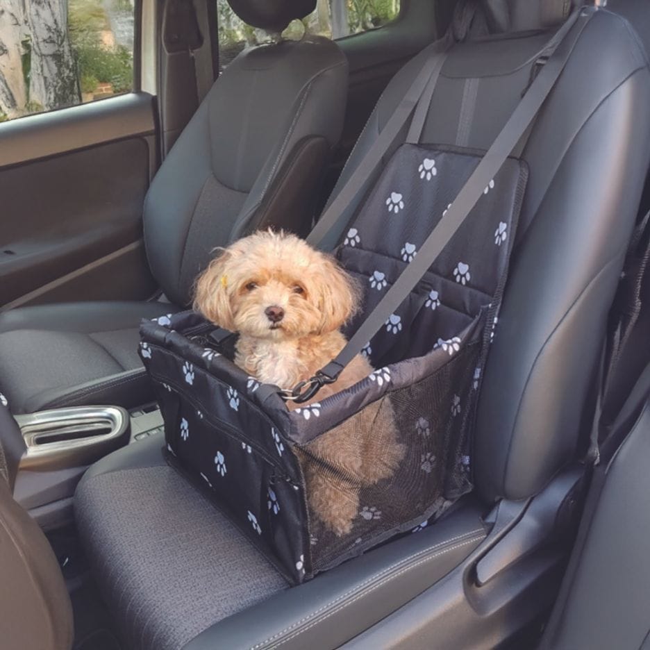 安全設計ペット用ドライブキャリー