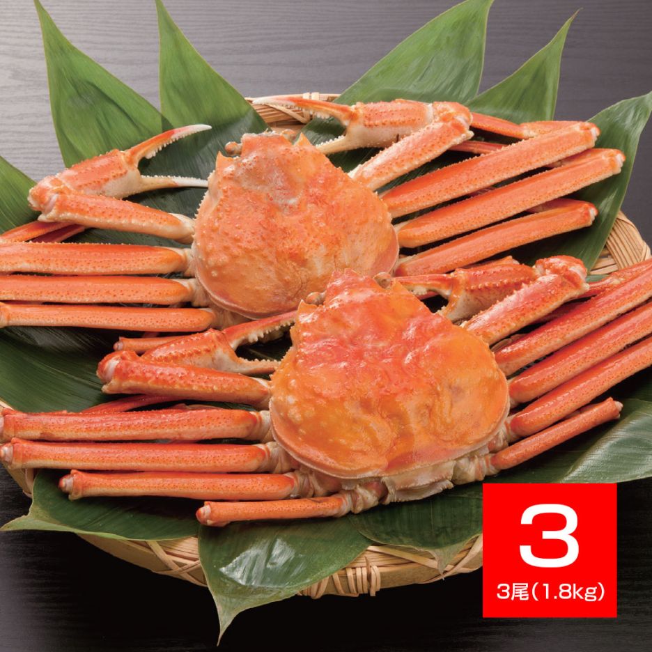 大型ボイル本ずわい姿 3尾 計1.8kg｜ファミリー・ライフ公式通販