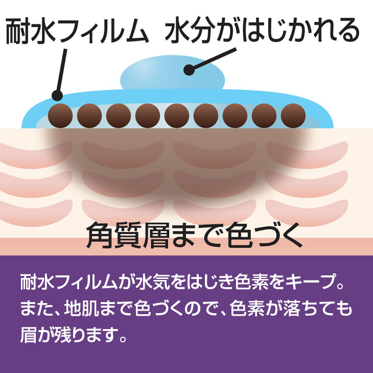 NEWラスティングアイブロー 同色2本組