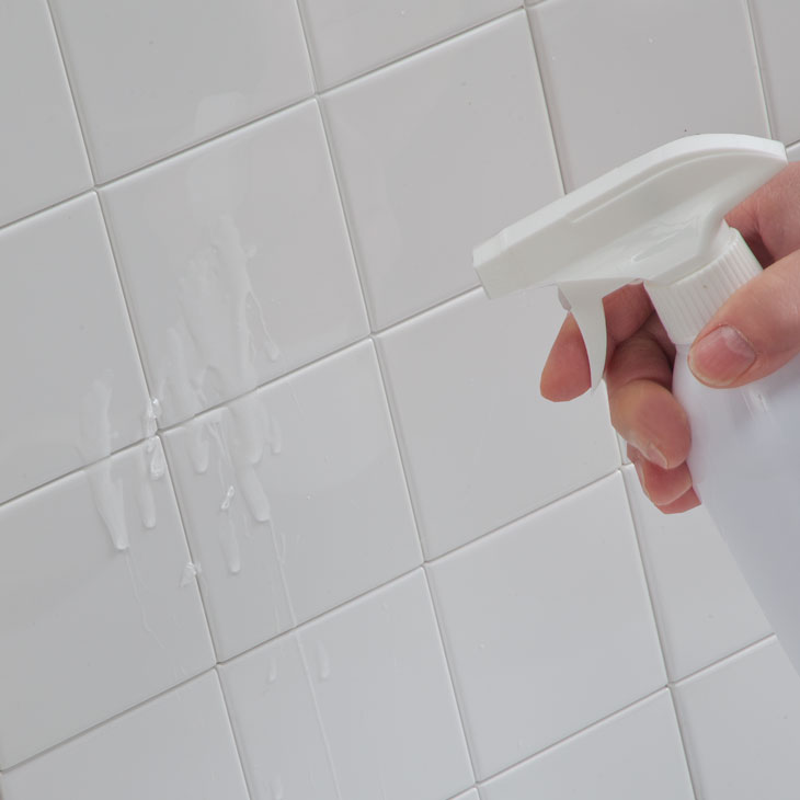 ファミラ カビクリーンジェル 1本 お掃除キット付き