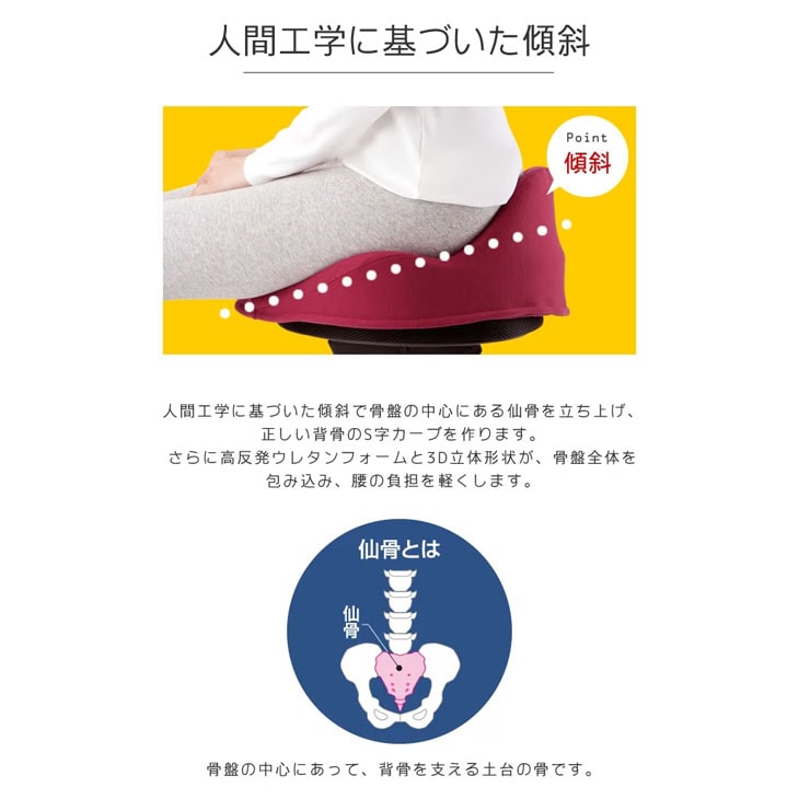 仙骨クッション 仙律