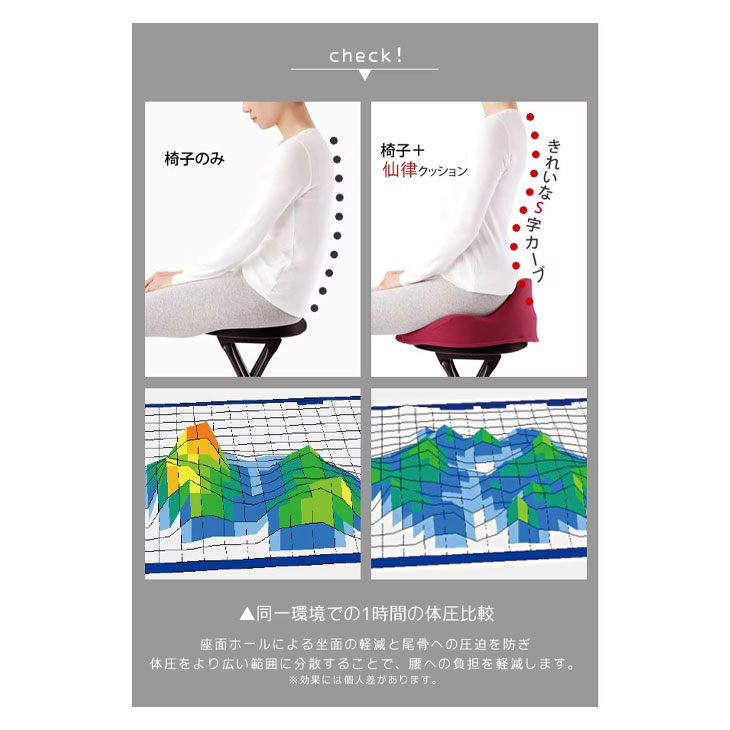 仙骨クッション 仙律