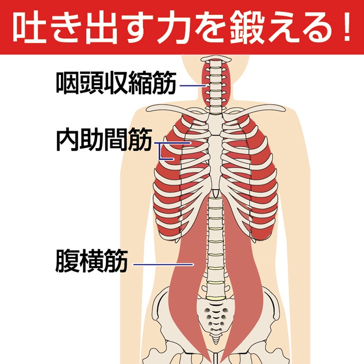 口腔・嚥下機能訓練器具 パワーブリーズEX1 メディク