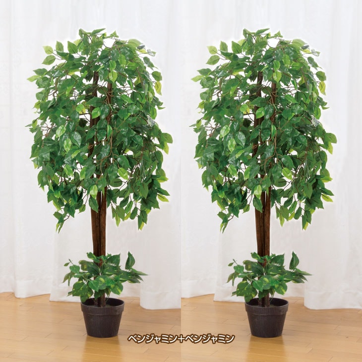 光触媒 インテリアグリーン 2本組｜ファミリー・ライフ公式通販