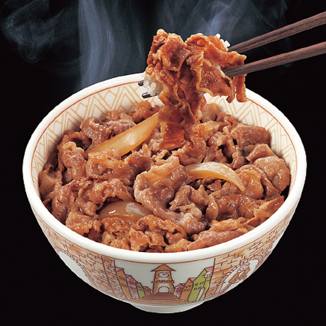 すき家 牛丼の具 120g×10食