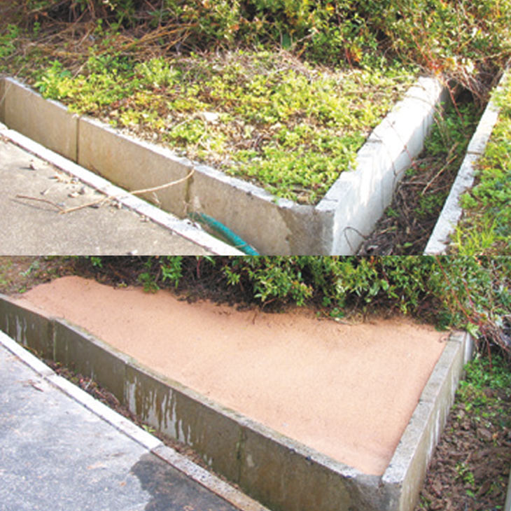 水をかけて固まる魔法の土 カチカチ君 1袋｜ファミリー・ライフ公式通販