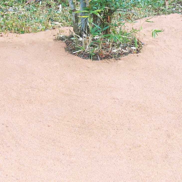 水をかけて固まる魔法の土 カチカチ君 1袋｜ファミリー・ライフ公式通販