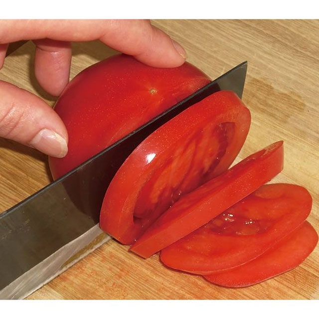 竹内英治のダイヤモンド包丁研ぎ器｜ファミリー・ライフ公式通販