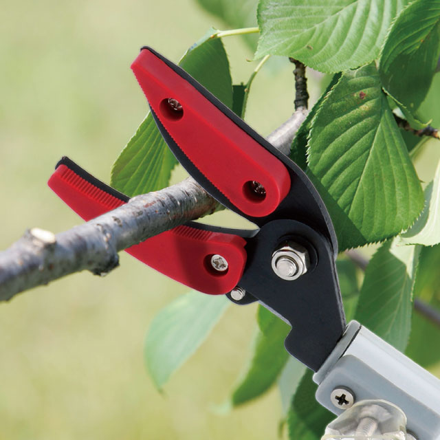 TAKAGI 高儀 NEW 伸縮式高枝切ハサミ 5点セット