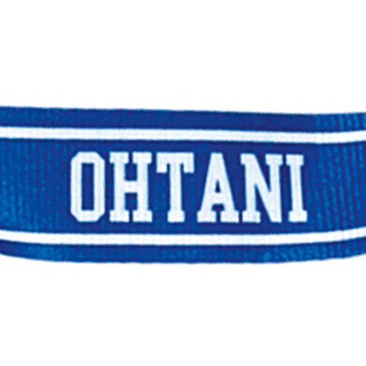 MLB公式ライセンス 大谷翔平ドジャースショルダーバッグ ラージサイズ