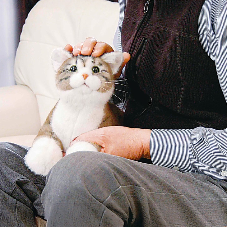 なでなでねこちゃんEX｜ファミリー・ライフ公式通販