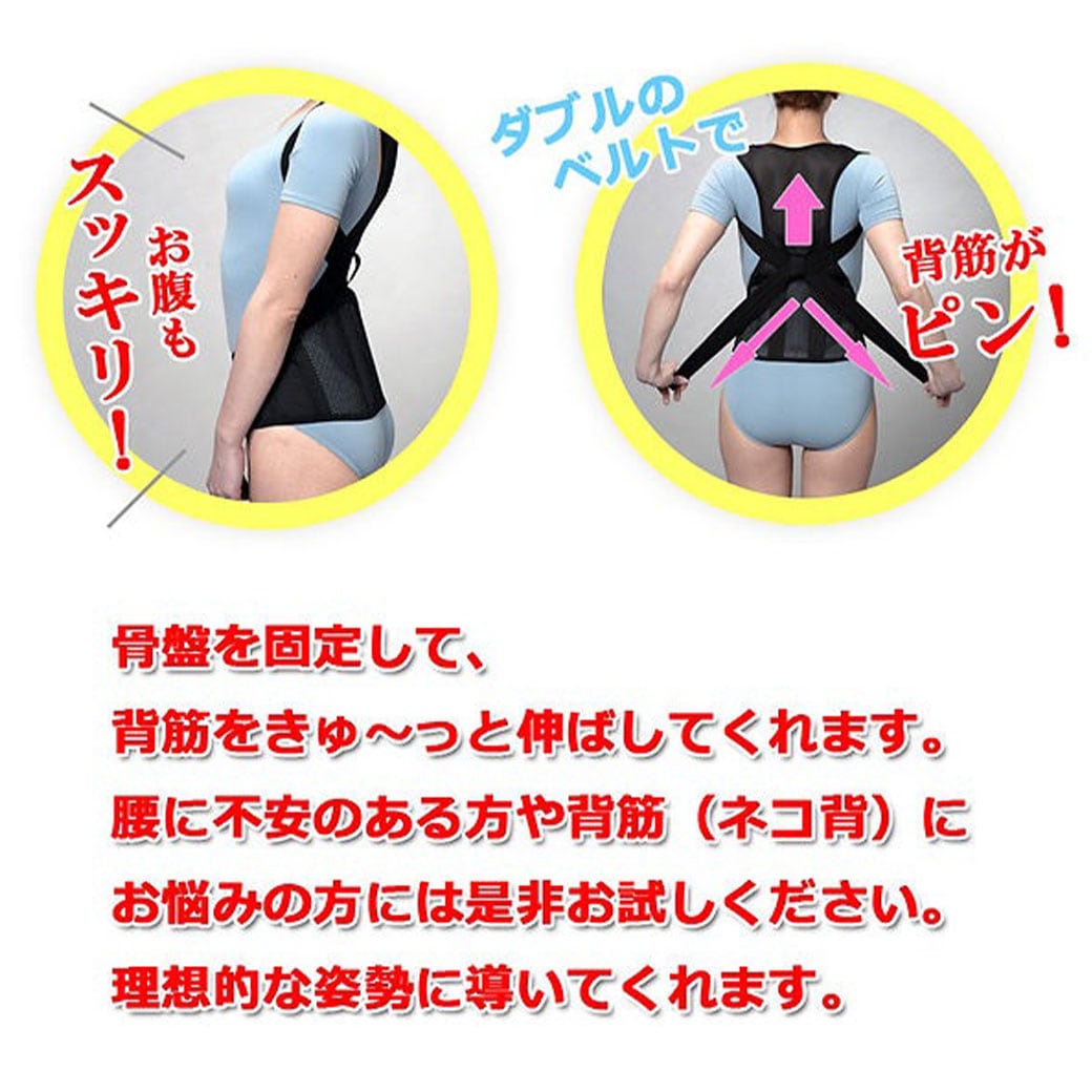 日本製 骨盤グイッと背筋Sラインベルト