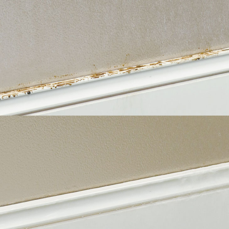 カビクリーンジェル 500ml 2本組 お掃除キット付き ハケ 計量カップ スプレーボトル ビニール手袋 日本製