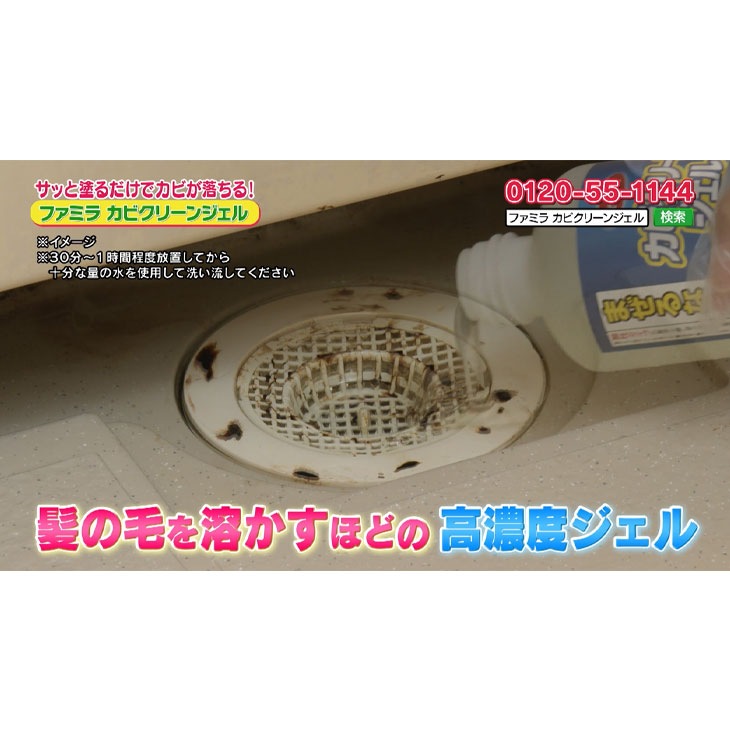 カビクリーンジェル 500ml 2本組 お掃除キット付き ハケ 計量カップ スプレーボトル ビニール手袋 日本製