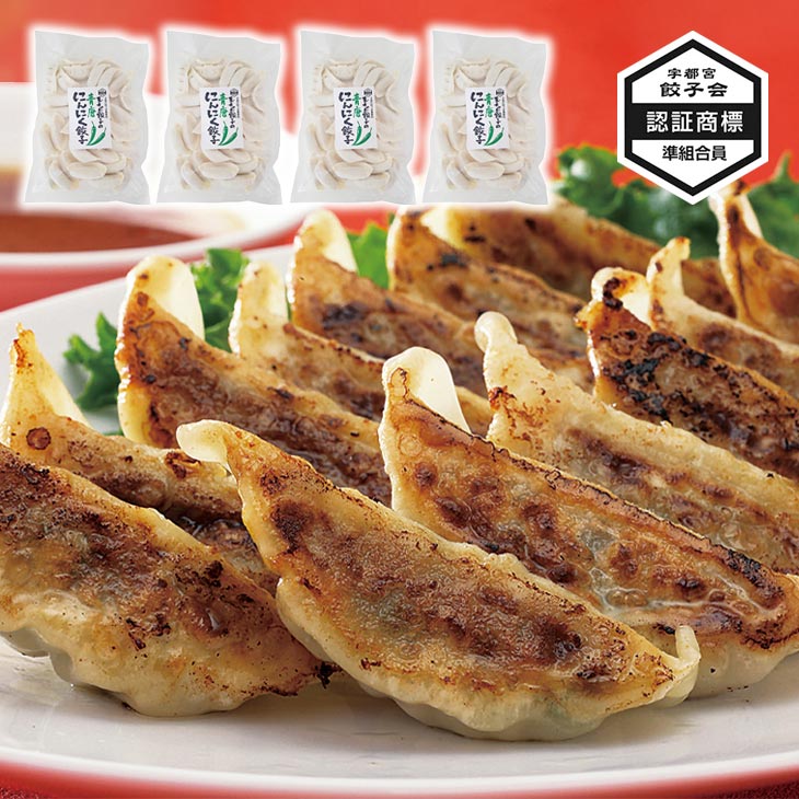 玉ちゃん餃子 青唐にんにく餃子 120個