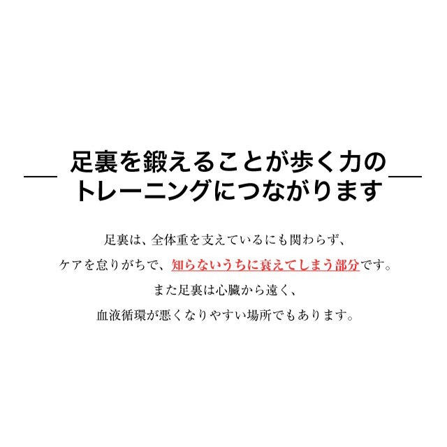 EMSフットトレーニングマット ブラック