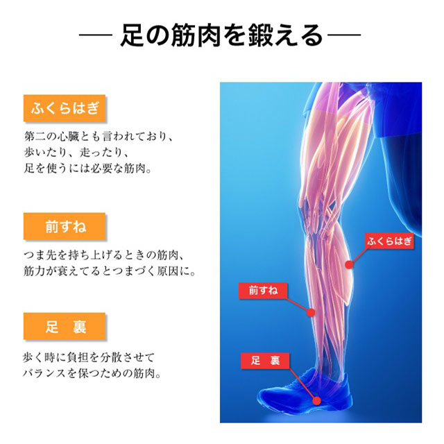 EMSフットトレーニングマット ブラック