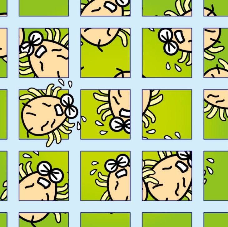 日本製 ダニ捕りシート30枚 ダニチェッカー