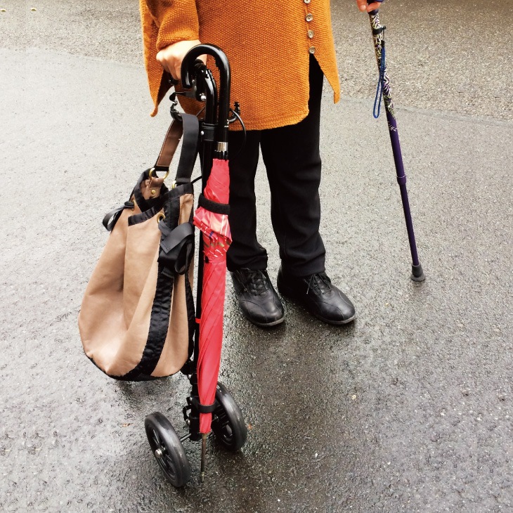 ハンドレールステッキⅡ ブーケ WB5134