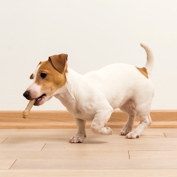 輝きが戻るフロアワックスシャイントップQ10 1本