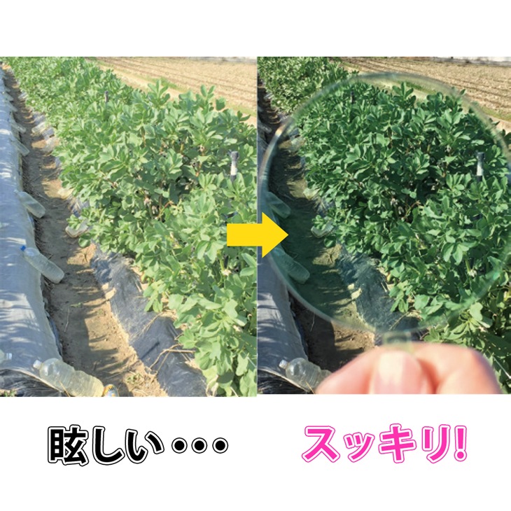 日本製 ガーデニングアイケアグラス