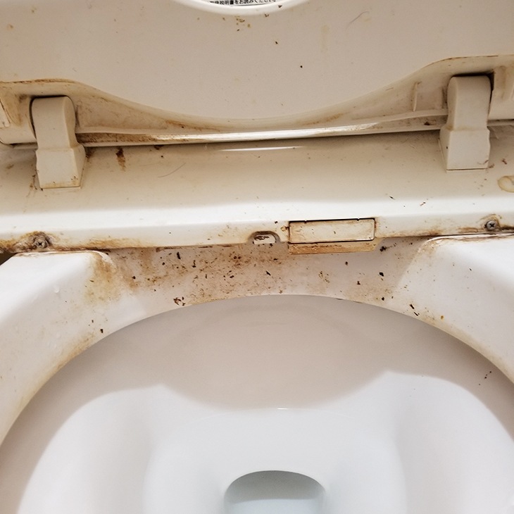 業務用 尿石洗浄剤「輝きが戻る」